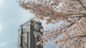 02 時計台と桜
